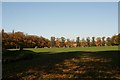 The Racecourse, Northampton, on a sunny October morning (3)