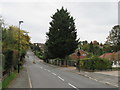 Old Farleigh Road, Selsdon