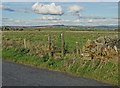 Stile and path heading north from Parsons Lane