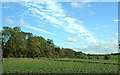 Field edge by Chesterton Windmill