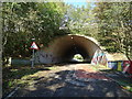 National Cycle Route 4 goes under the M48 motorway