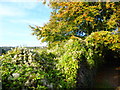 Autumnal scene at Coldrum Long Barrow