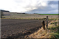 Fields near Blackhall