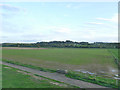 Fields near Sherborne