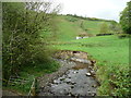 Afon Annell and eroded bank, Llanegwad