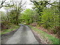 Lane, Llanegwad