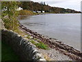 The Holy Loch