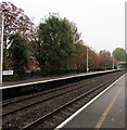 October colours, Cwmbran railway station