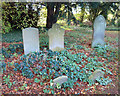 All Saints Churchyard, Long Marston