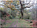 Llwybr Cwm Coch / Cwm Coch Path