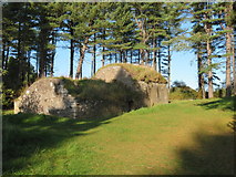 NO5026 : The ice house, Tentsmuir Forest by Gordon Hatton