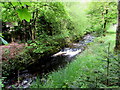 White water on Afon Giedd, Cwmgiedd, Powys