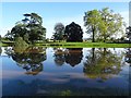SO8744 : Trees reflected in Croome Park by Philip Halling