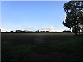 Prepared field and Glebe Farm, Costock