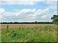 Field south of Mashbury Road