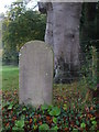ST4563 : Congresbury Manor boundary stone number 26 by Neil Owen