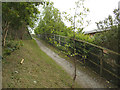 Path behind houses on Belle Vue Road