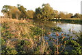 Beehives on the banks of the Nene