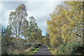 Road towards Loch Achilty