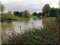 SP2964 : The river is up again, Warwick by Robin Stott