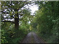 Track (bridleway), Marlbrook