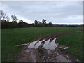 Muddy field entrance near Lady Meadow Farm