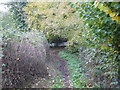 Public Footpath to the River Lugg (Stapleton)