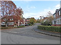 Stanage Close, Long Meadow