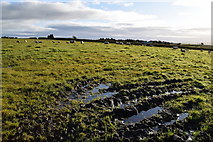 H5774 : A muddy field, Mullaghslin Glebe by Kenneth  Allen