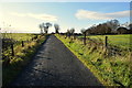 H5774 : Cloghglass Road, Mullaghslin Glebe by Kenneth  Allen