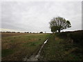 Bridleway towards Kelby and Heydour