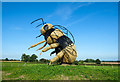 SJ6254 : The Snugburys Bee by Jeff Buck