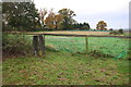 Paddocks near Highbury triangulation pillar