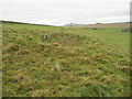 Rocky pit above Earlside near Hawick