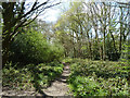 Path, Laindon Common