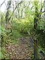 Footpath along fence above Becka Falls