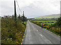 Q4202 : Cyclist on the Slea Head Drive near Kilfountain by David Dixon