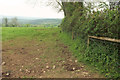 Field near Little Trendle