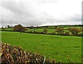 View towards Higher Kitcott