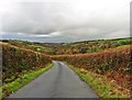 Minor road on Long Hill