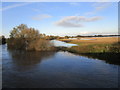 Flooding at Kelham bridge