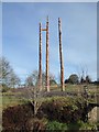 NY7976 : New totem poles in position by Oliver Dixon