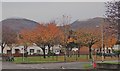 Autumn colours on Castlewellan Road, Newcastle