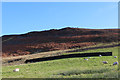 Ridge ascending towards Beamsley Beacon