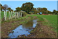 Muddy track towards Faulkner