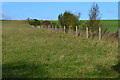 Fence across farmland near Faulkner