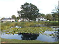 Village pond, Potten End