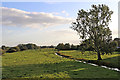 Rickerscote Drain on Radford Meadows near Stafford