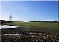 Sown field near Oxton