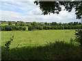 Grassland, Churn Valley